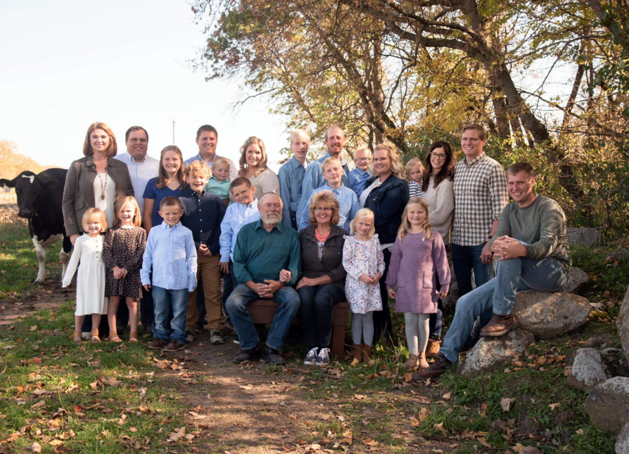 Gausman Family Suesta Holsteins